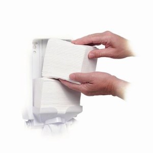 Бумага туалетная FOCUS PREM V-сложения двухслойная для диспенсера (250 листов, 15 пачек)